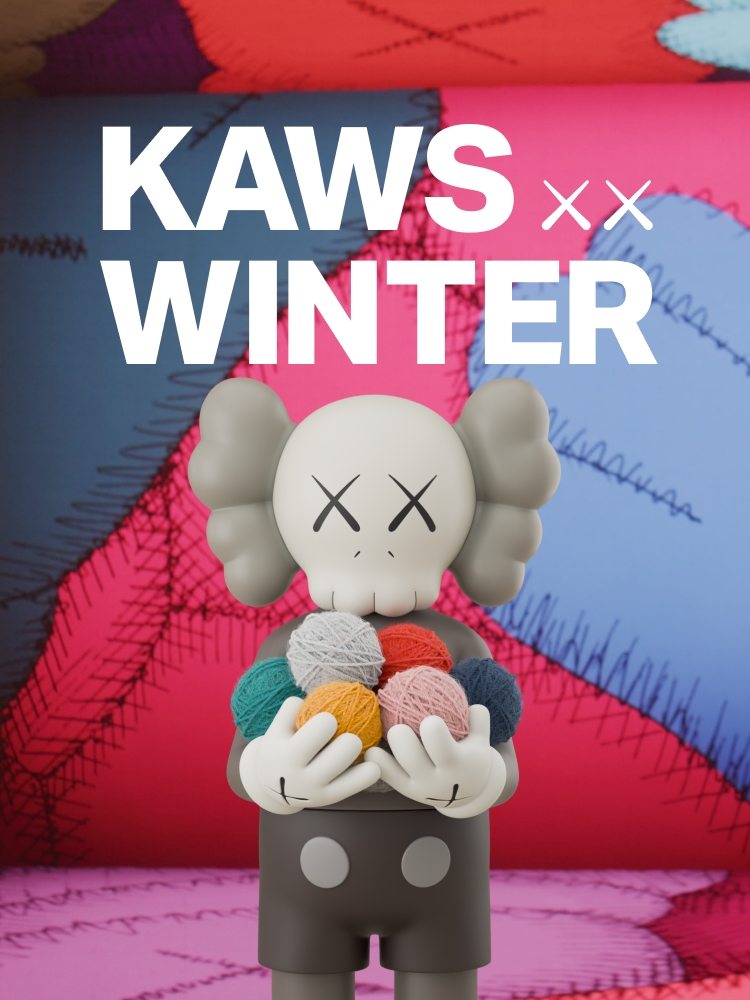 KAWS C10 新品未開封 KAWS C10 新品未開封 KAWS C10 新品未開封 KAWS